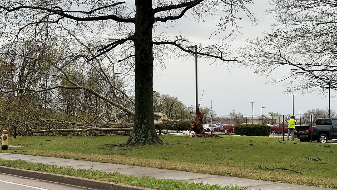 An EF1 tornado touchdown was reported by the National Weather Service in Louisville, with downed trees and powerlines all across the city. (Spectrum News 1/Khyati Patel)