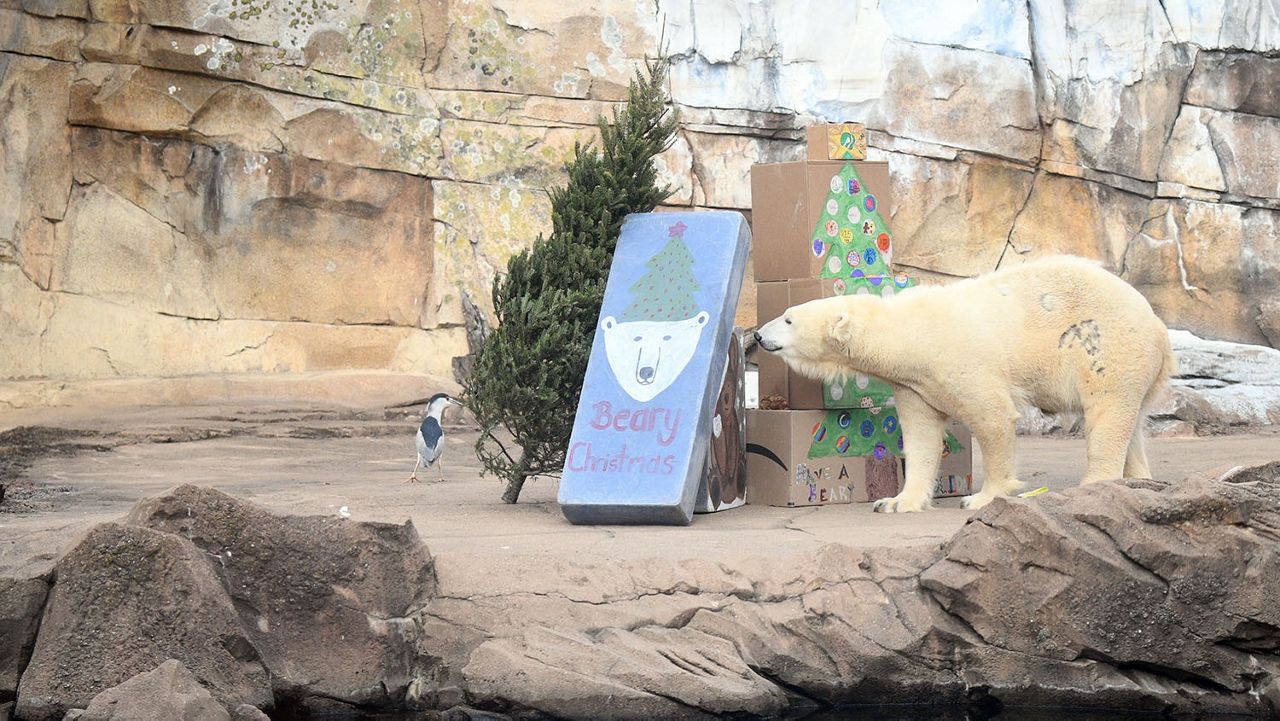 Enjoy festive fun at the Louisville Zoo