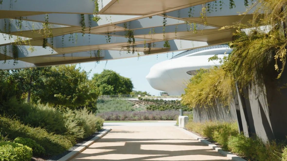 The gardens of George Lucas' museum tell their own story