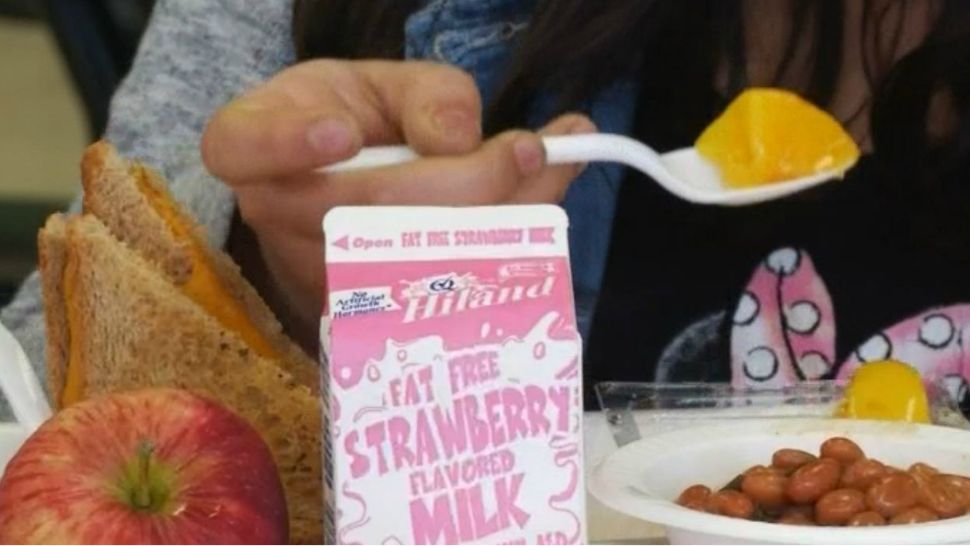 A kid eats a school lunch made up of a sandwich, apple, beans, peaches and strawberry flavored milk. (Spectrum News/File)