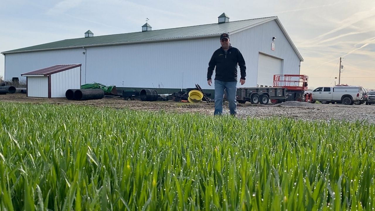 Ag Report: Ohio's place in the world wheat market - Vimarsana News
