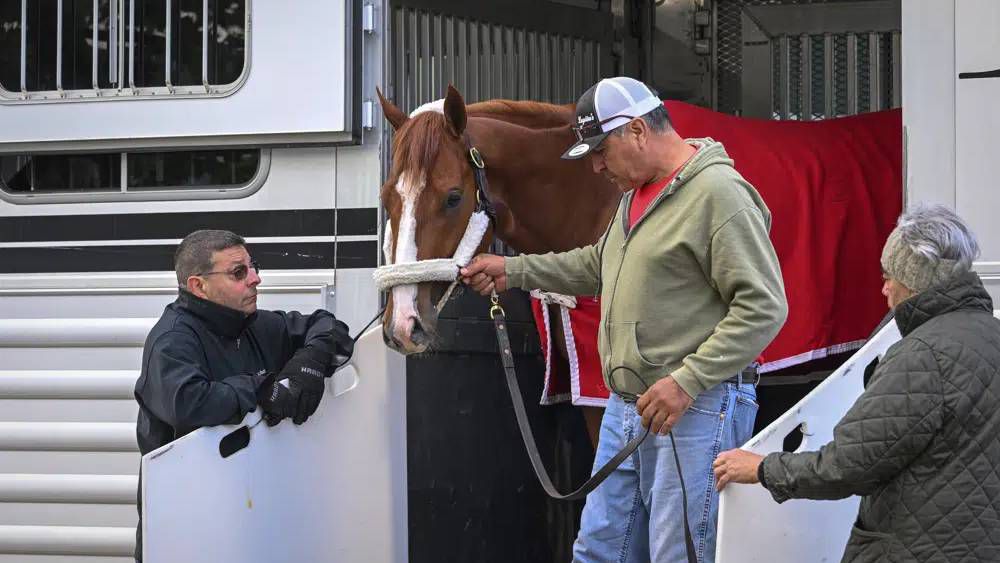 mage entering pimlico