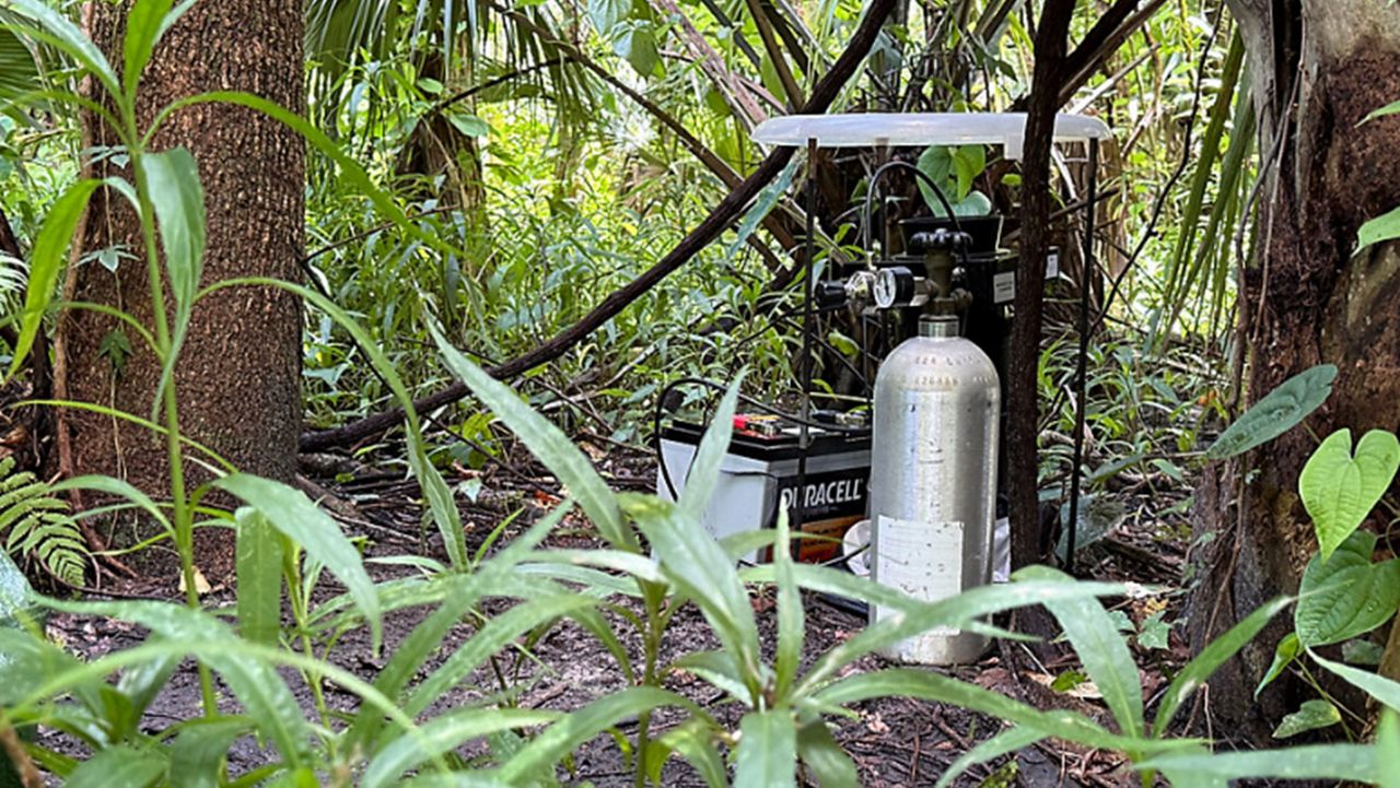 A mosquito trap is set up outside the Central Florida Zoo in Sanford