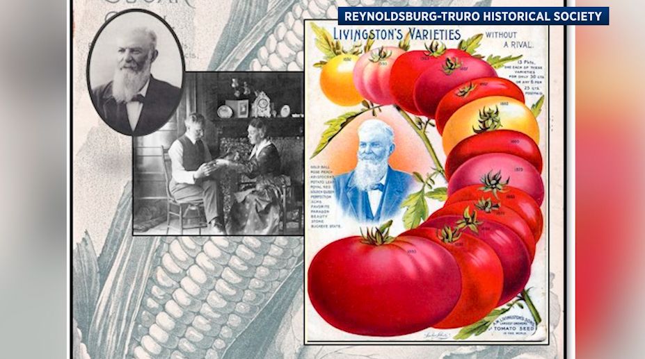 Reynoldsburg embraces history with Tomato Festival