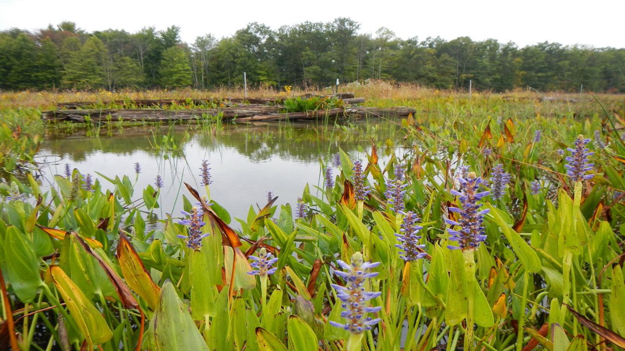 Ohio EPA awards grants for environmental education