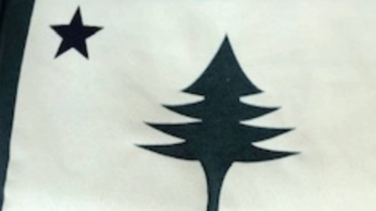 The original 1901 Maine state flag featuring a pine tree and star. (Spectrum News file photo)
