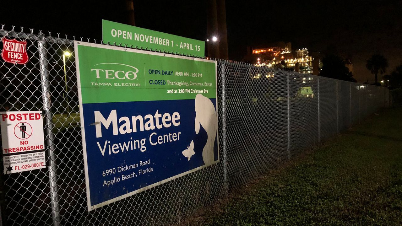 Tampa Electric’s Manatee Viewing Center finally reopens on Monday after closing in March of 2020 due to the pandemic. (Fallon Silcox/Spectrum Bay News 9)