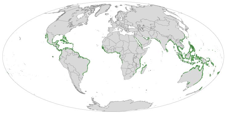 Map of mangrove growing zones across the world.