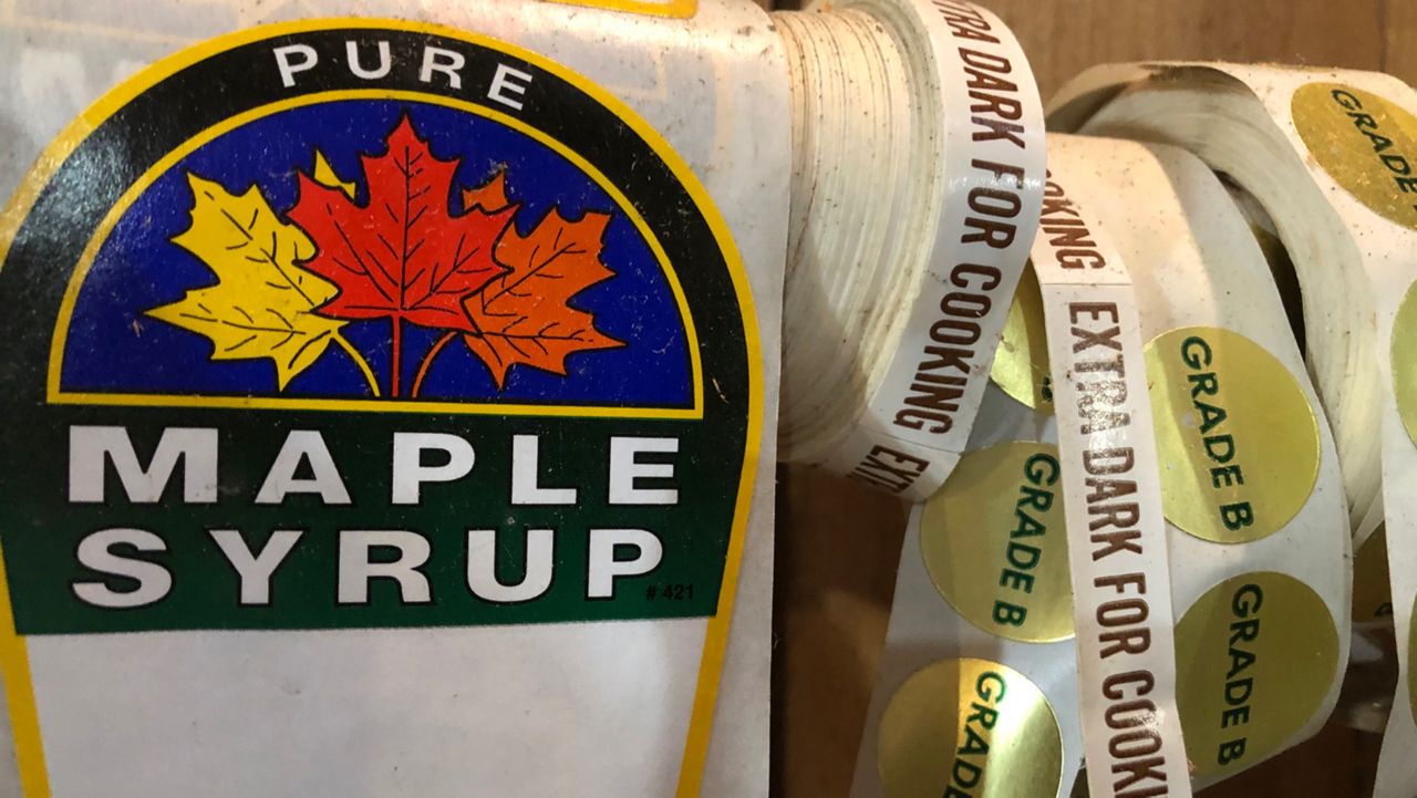 what type of maple tree makes syrup