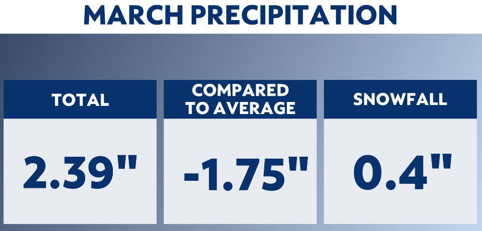 March's weather in NYC brought some madness