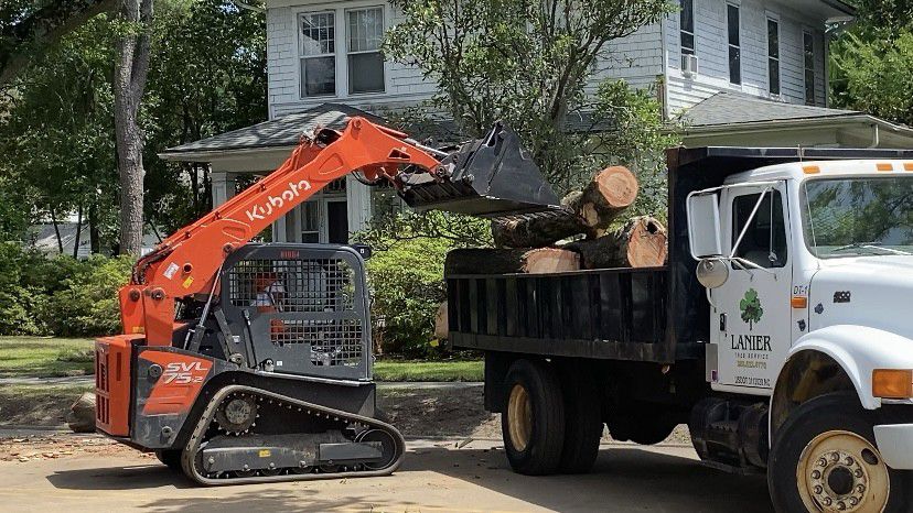 Trees are being removed from Market Street. (Spectrum News 1/Natalie Mooney)