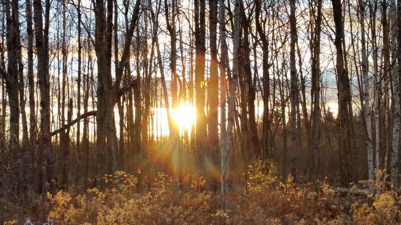 Wisconsin Thursday Forecast