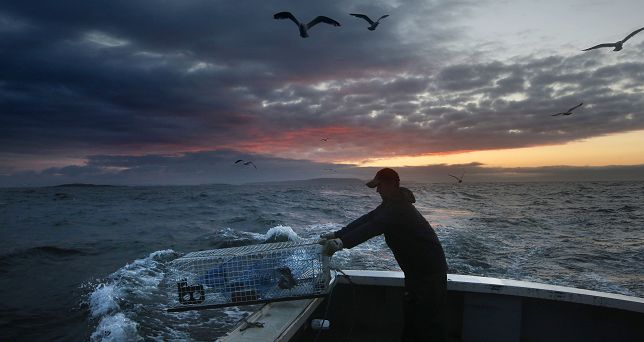 (Photo by Robert F. Bukaty/Associated Press)