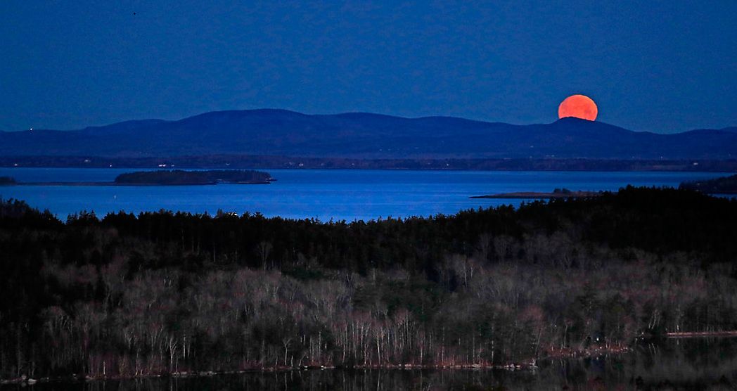 NH-based company fined for plastic debris spill in Maine bay - Vimarsana News
