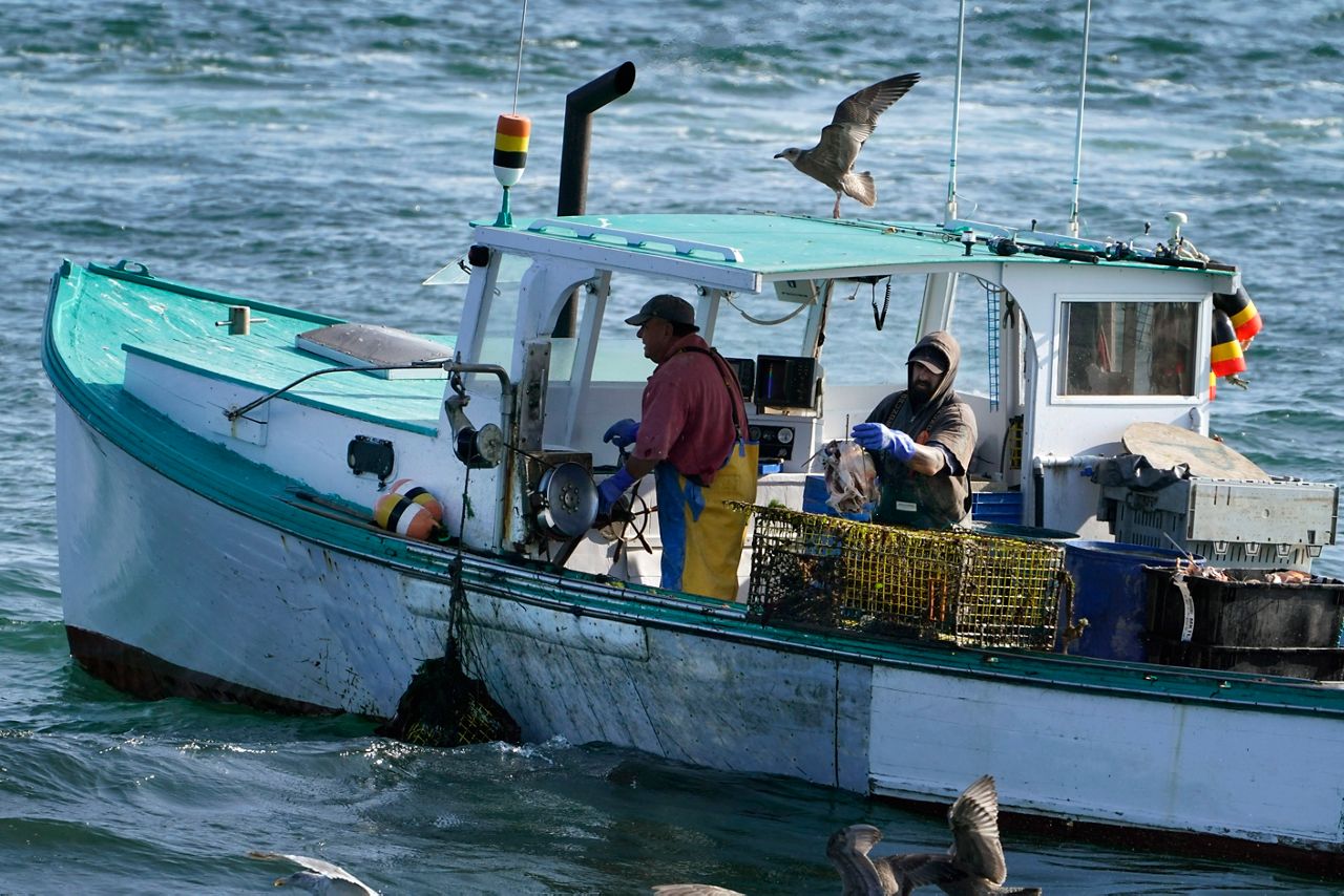 Maine lobster fishing