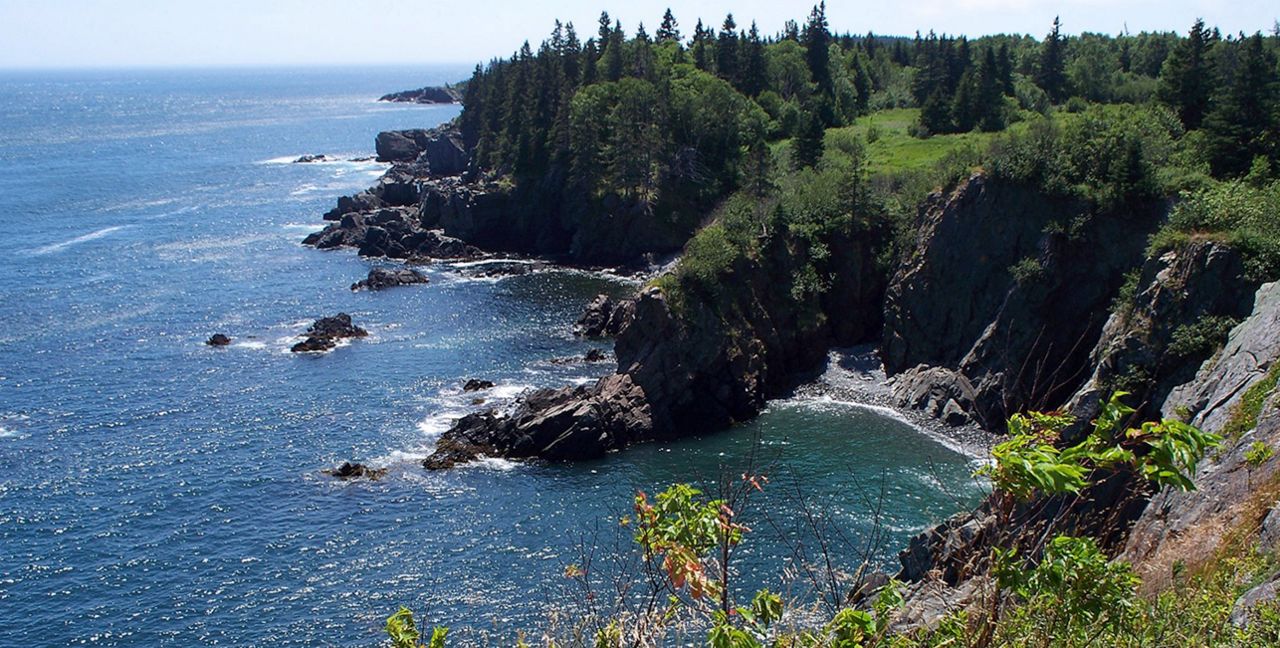The Cutler Coast preserve in Downeast Maine is one of the state’s current ecological reserves. (Photo credit Linda Woods via Natural Resources Council of Maine).