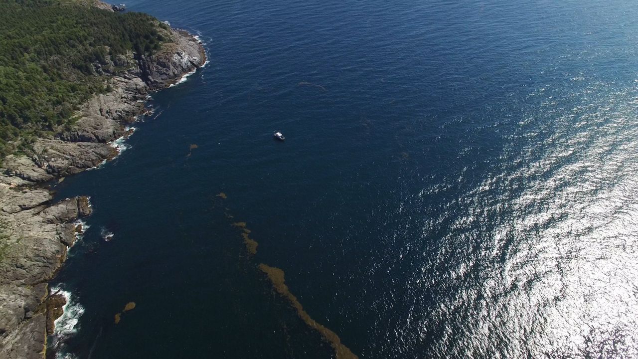 The Gulf of Maine is warming faster than almost any other water body in the world due to human-caused climate change. (Photo courtesy Gulf of Maine Research Institute). 