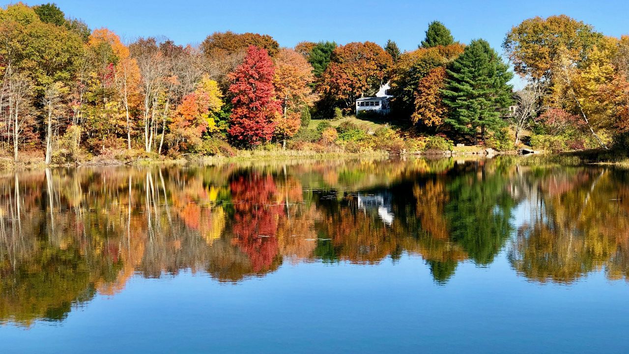 Gorgeous fall colors