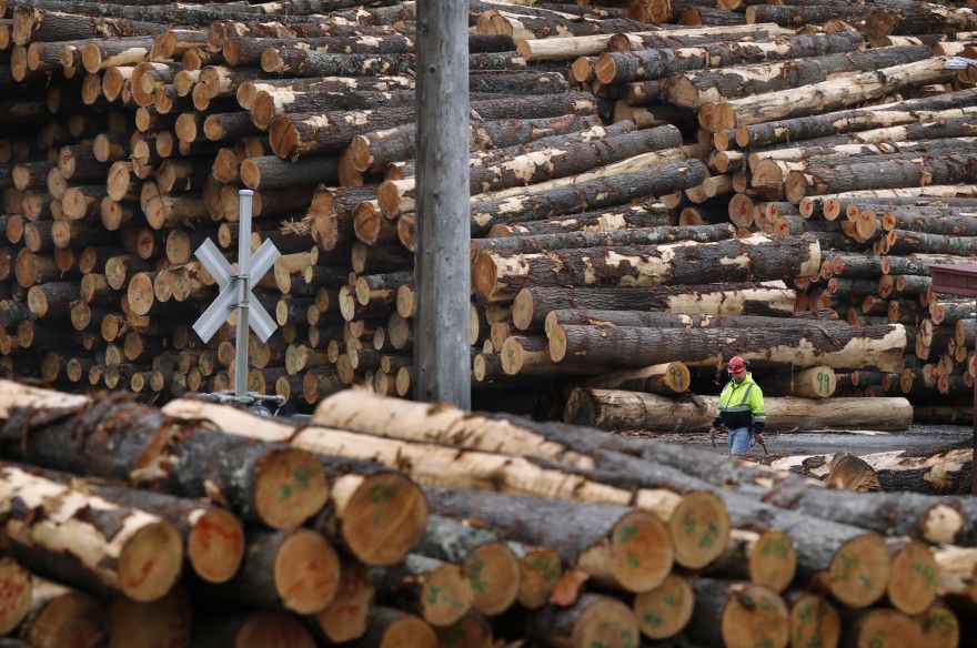 Maine logs