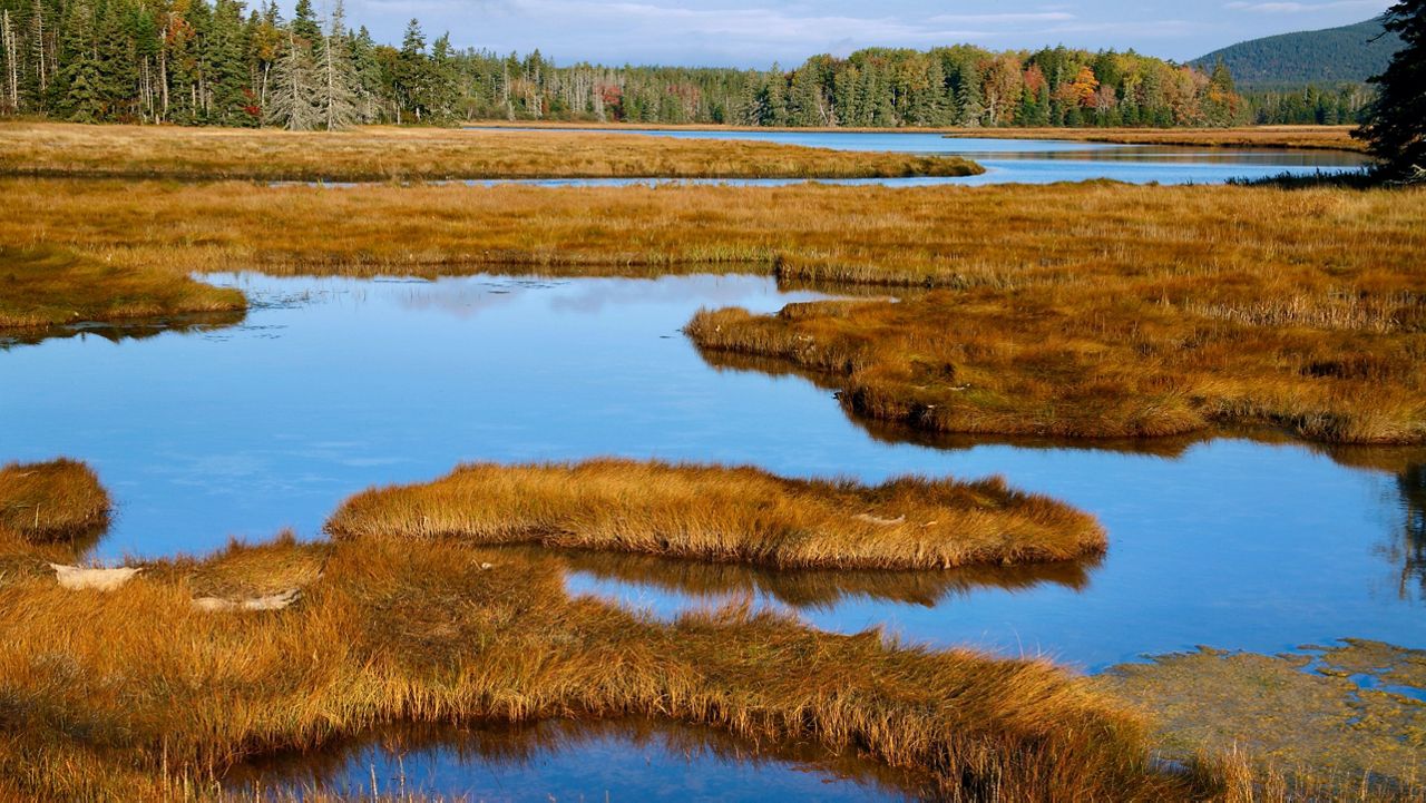 Casco Bay watershed acres to be protected in Maine - Vimarsana News