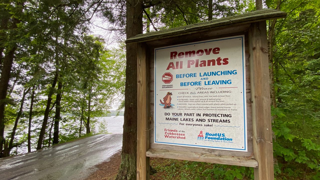 Milfoil warning