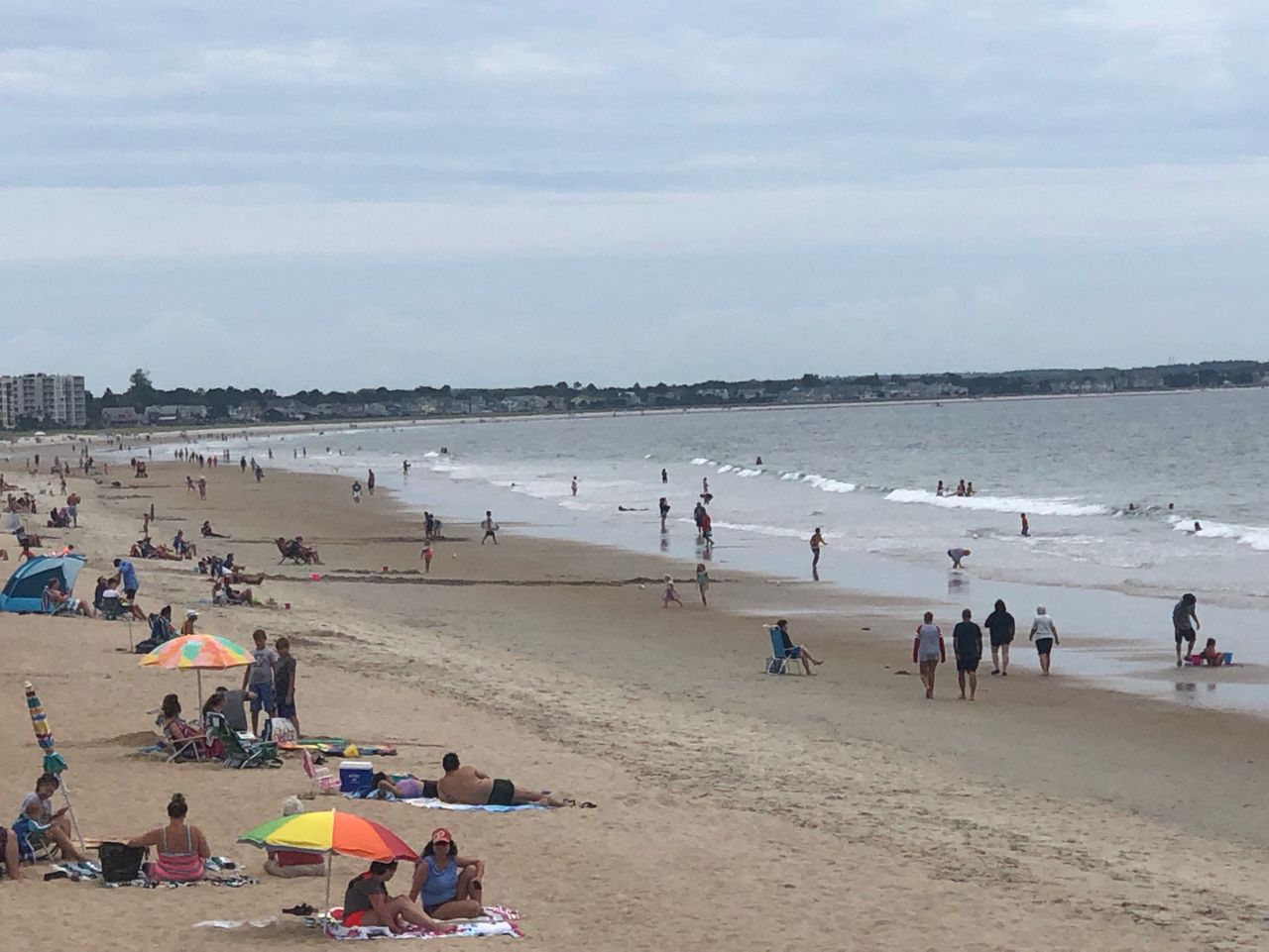 Red algae is a 'bummer' for beachgoers at Pine Point Beach