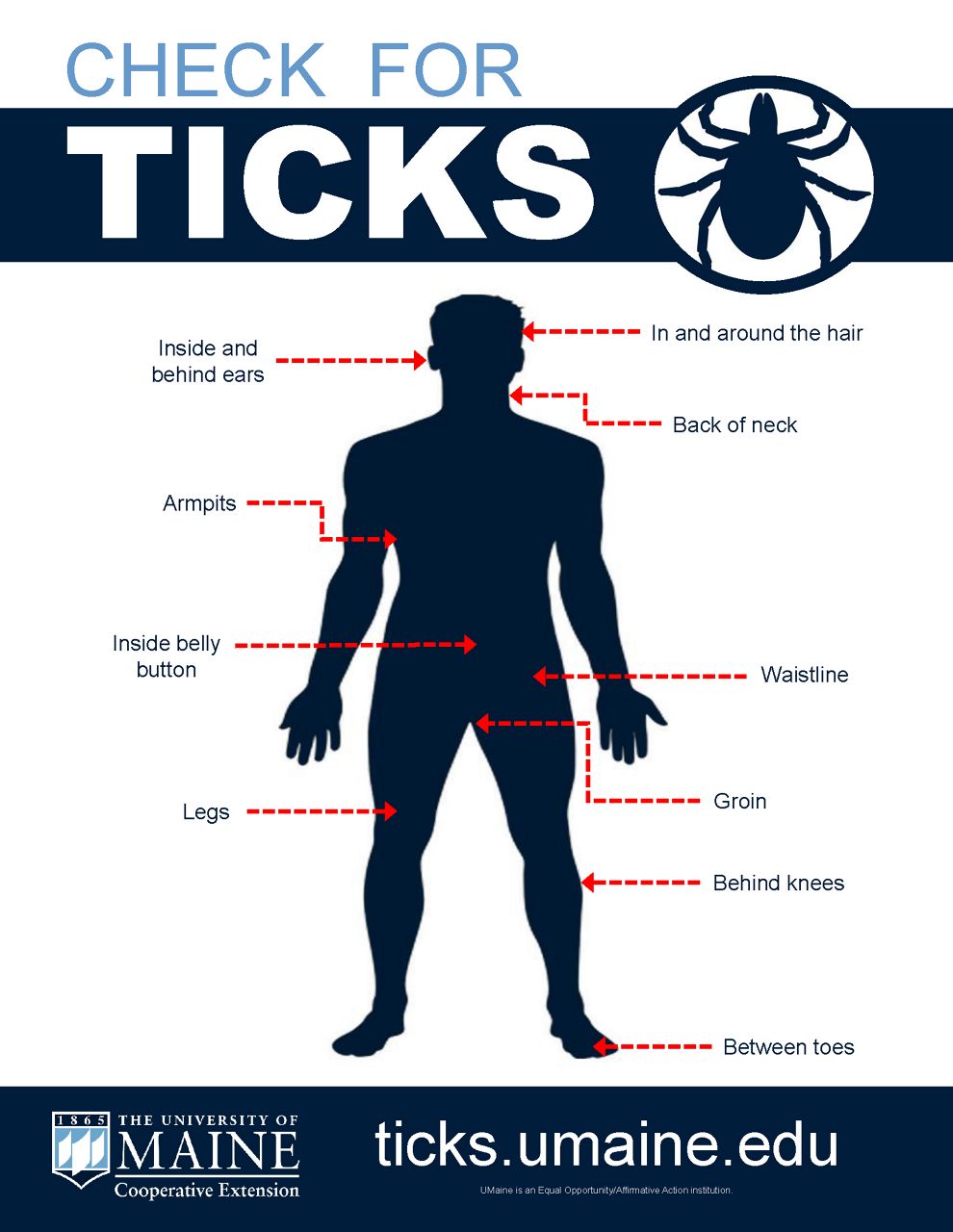 Tick checker graphic