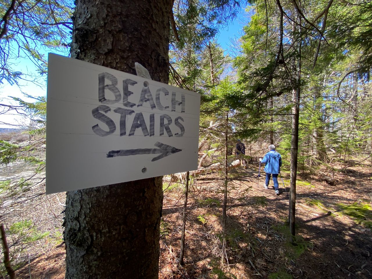 The Porter Preserve in Boothbay features an easy 1.1-mile trail through the woods and offers scenic ocean views. (Photo by Susan Cover/Spectrum News Maine).