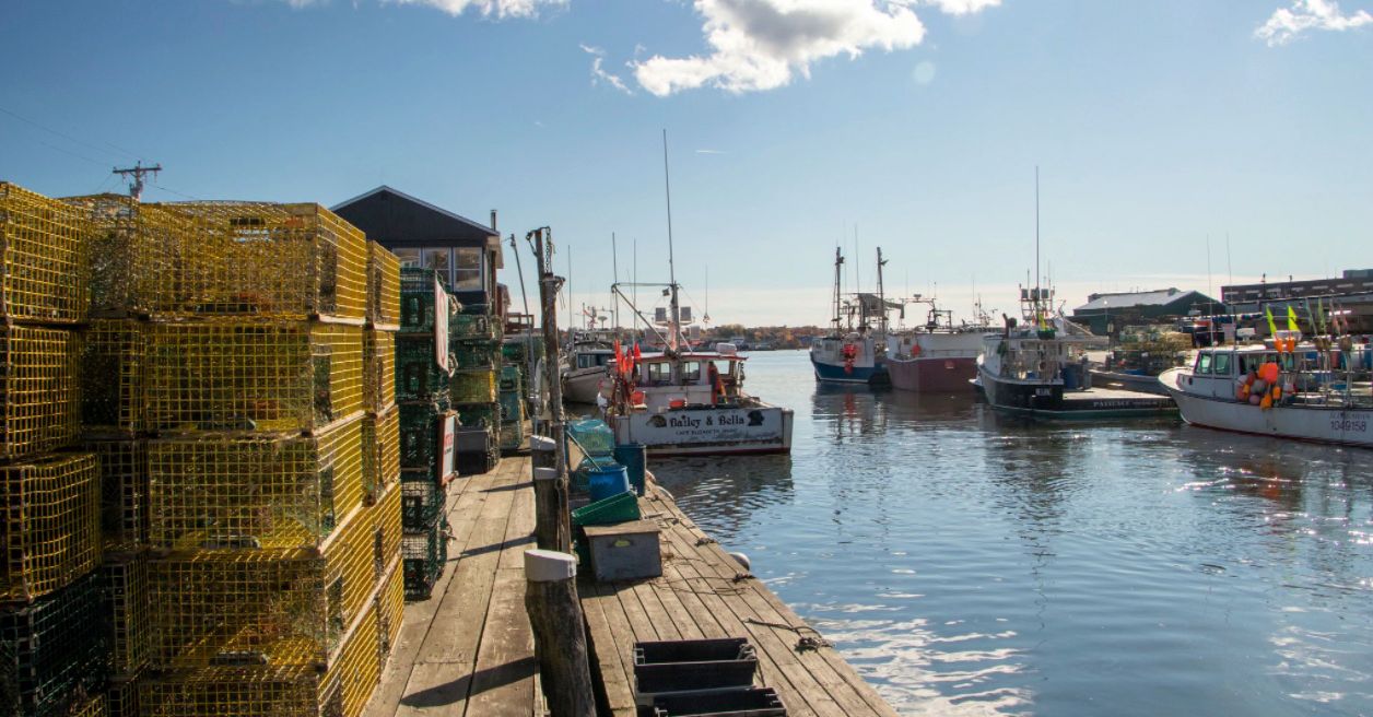 Sunny day captured Nov. 8, 2021 at Union Wharf in Portland, Maine. (Photo courtesy of the Gulf of Maine Research Institute)