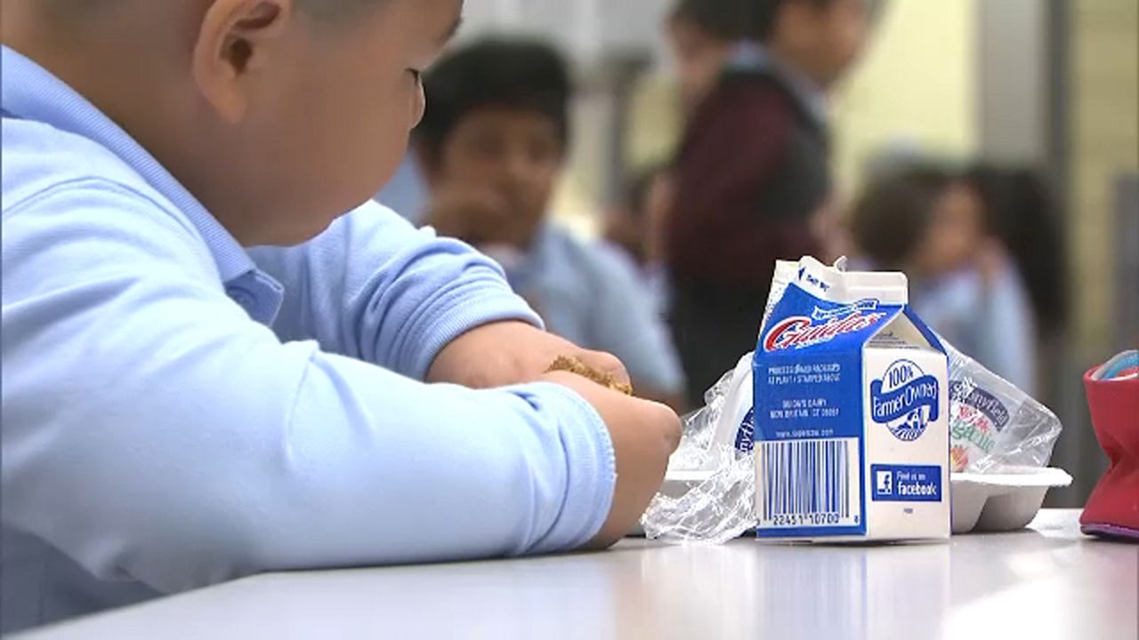 Meatless Mondays coming to 15 school cafeterias in Brooklyn