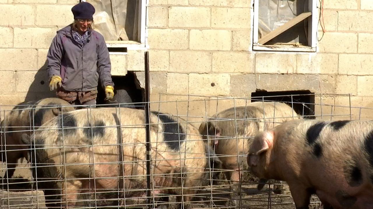 Farmers Call For Investment Into SmallScale Meat Processing