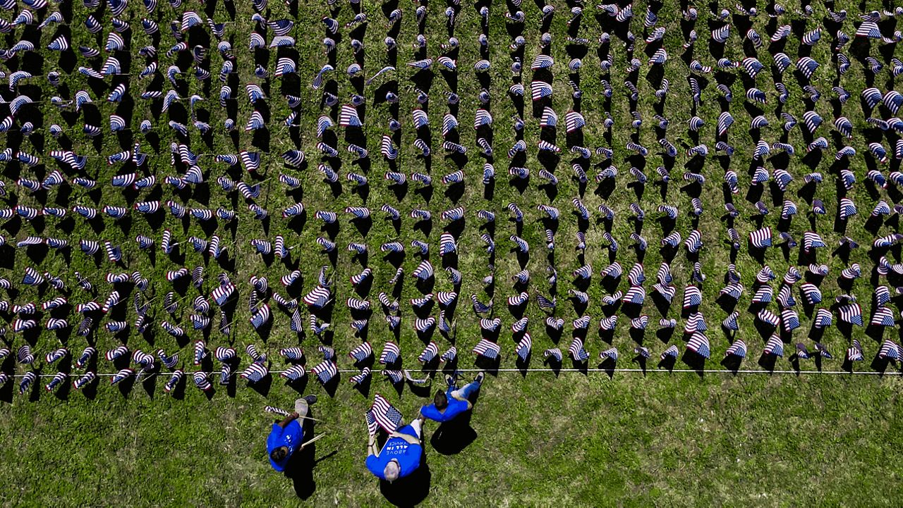 field of flags