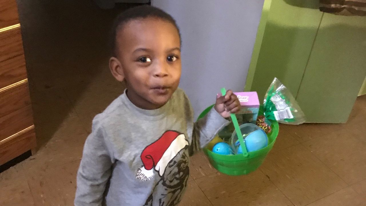 A child wearing a grey shirt, which depicts a dog wearing a hat, holds up a green plastic basket which holds blue eggs and a box.