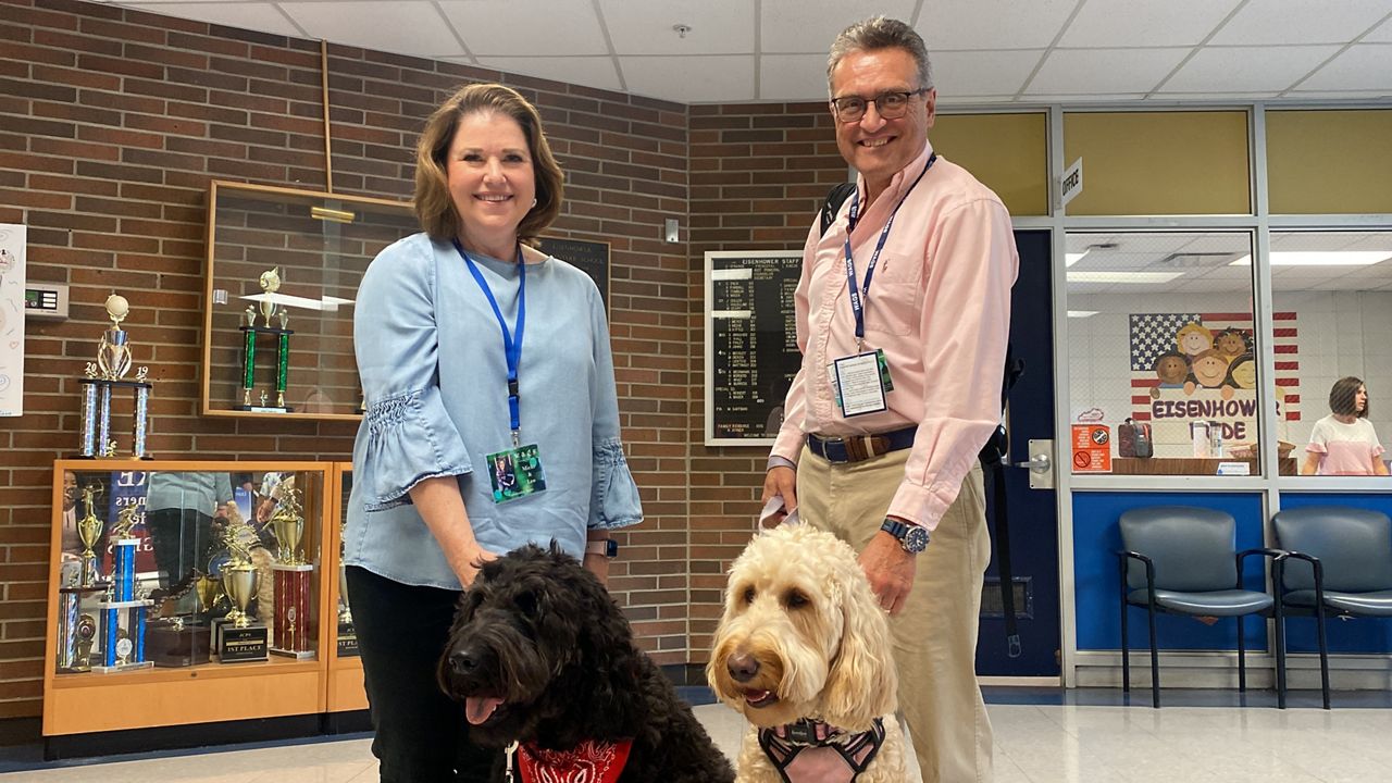 Pandemic emphasizes demand for pet therapy