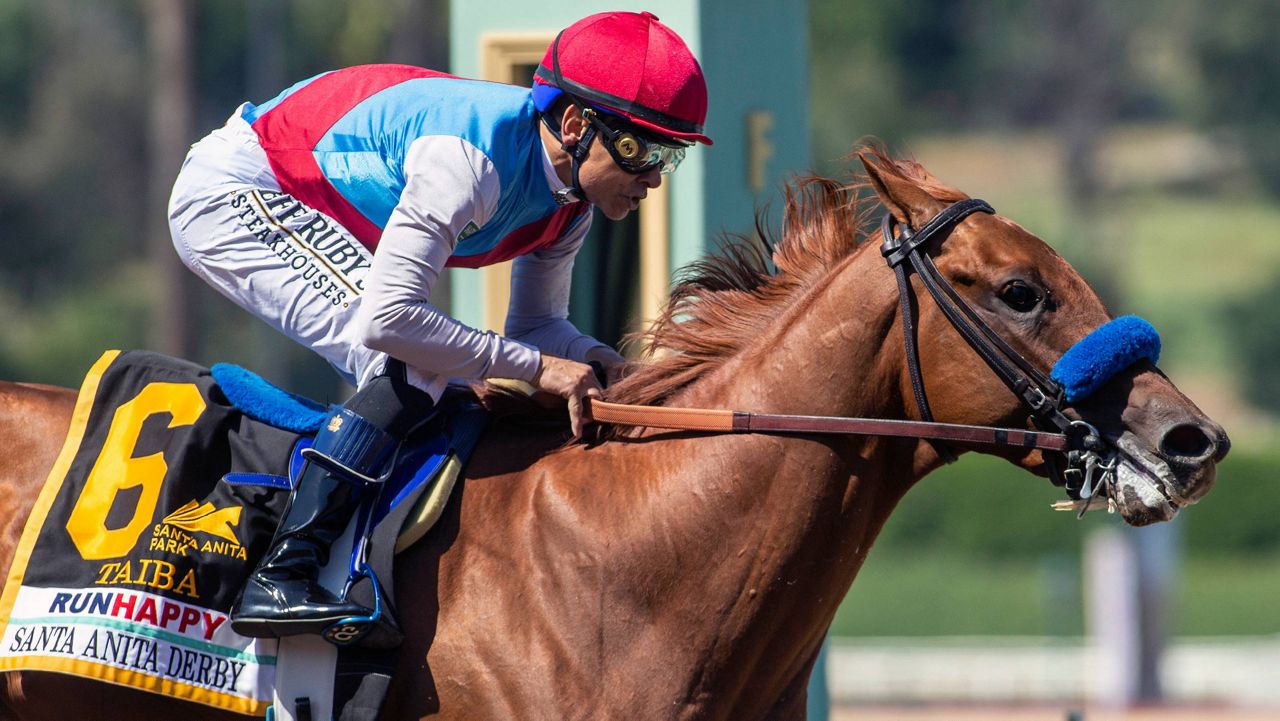 In a photo provided by Benoit Photo, Taiba and jockey Mike Smith win the Grade I, $750,000 Santa Anita Derby, Saturday, April 9, 2022 at Santa Anita Park in Arcadia, Calif. (Benoit Photo via AP)