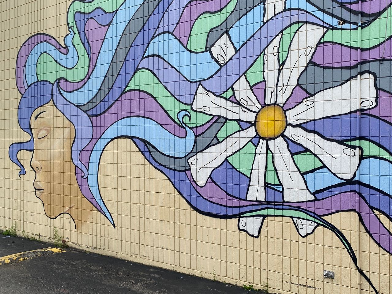 Appleton students painting a beautiful picture