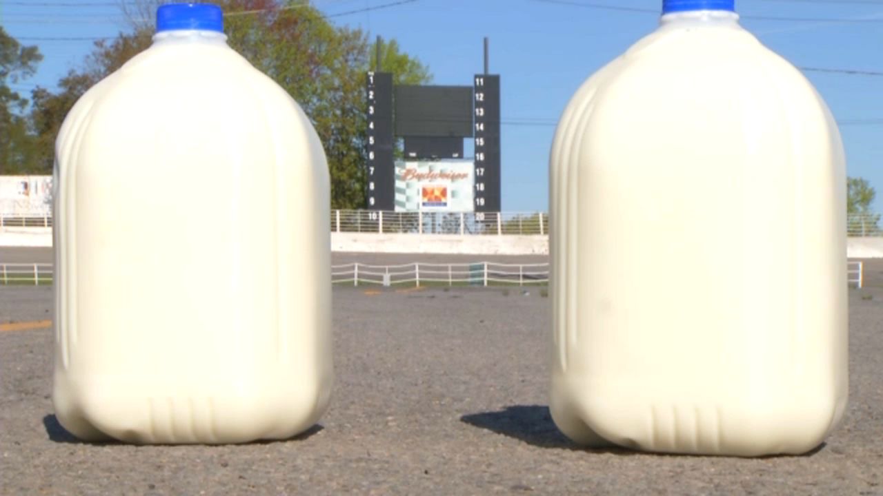 How Much Does A Gallon of Milk Weigh? 