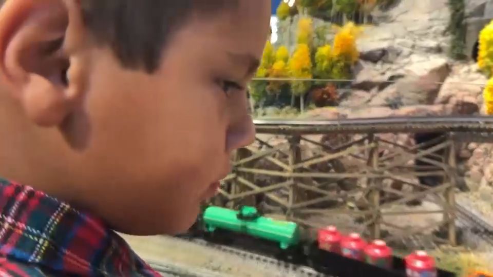 Dallas home to world's largest miniature train exhibit