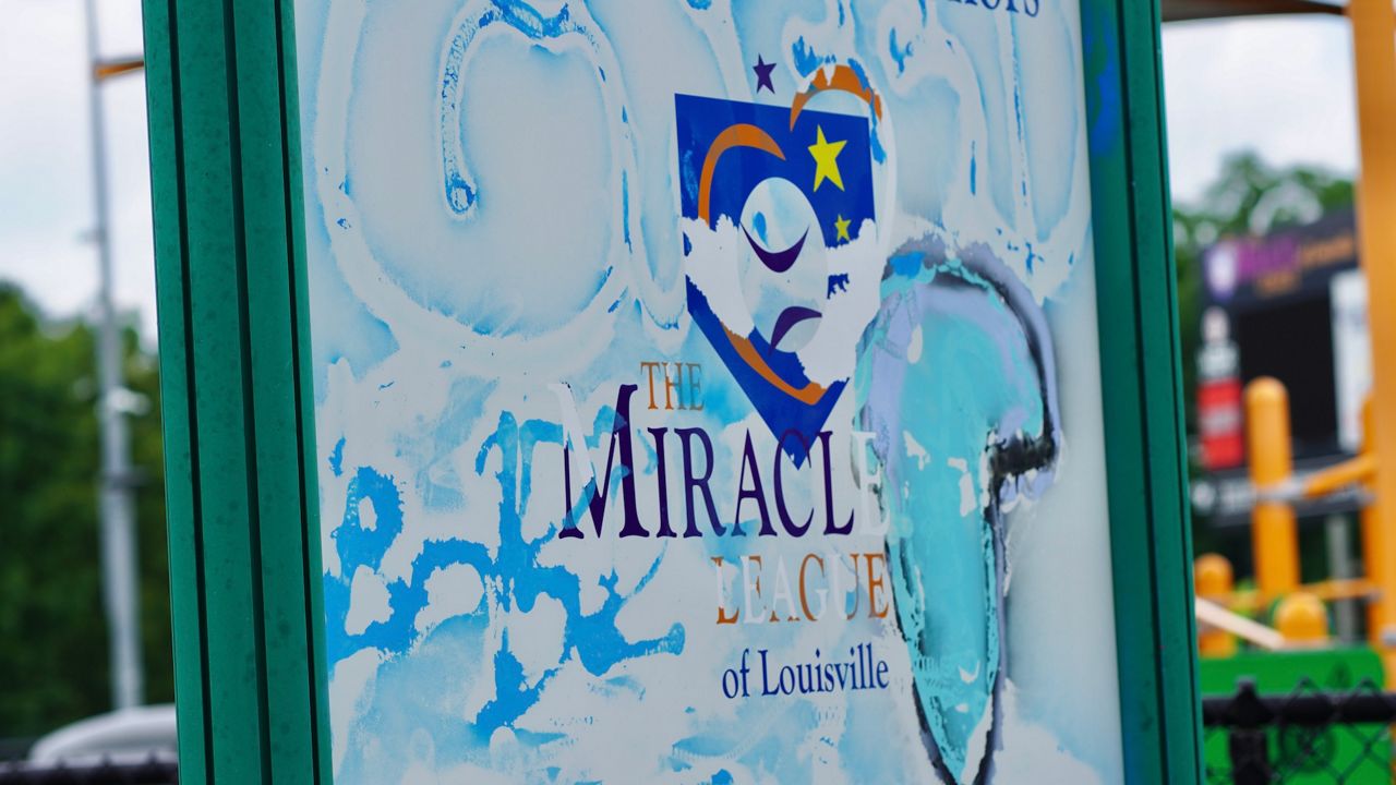 Graffiti damage at Louisville park inspires community action