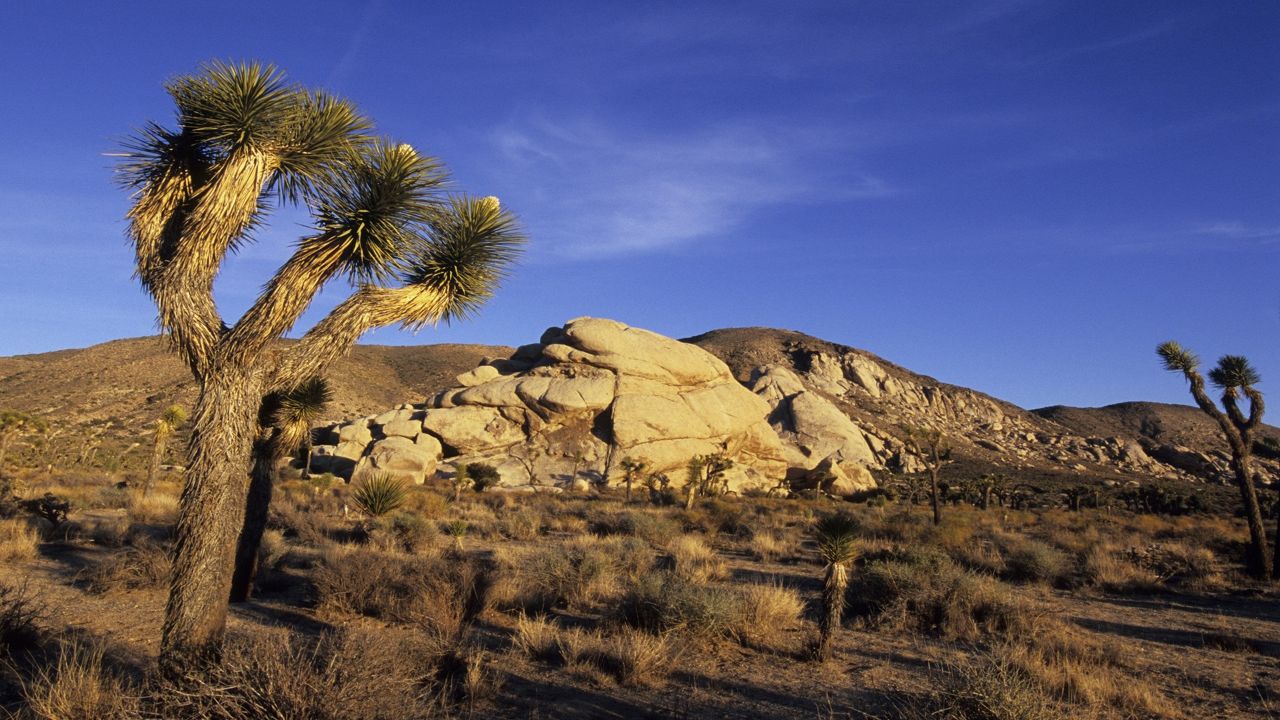 From coast to cactus,: We look at SoCal's several microclimates 