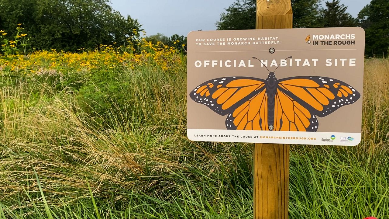 SIRE Expands Monarch Habitat Project