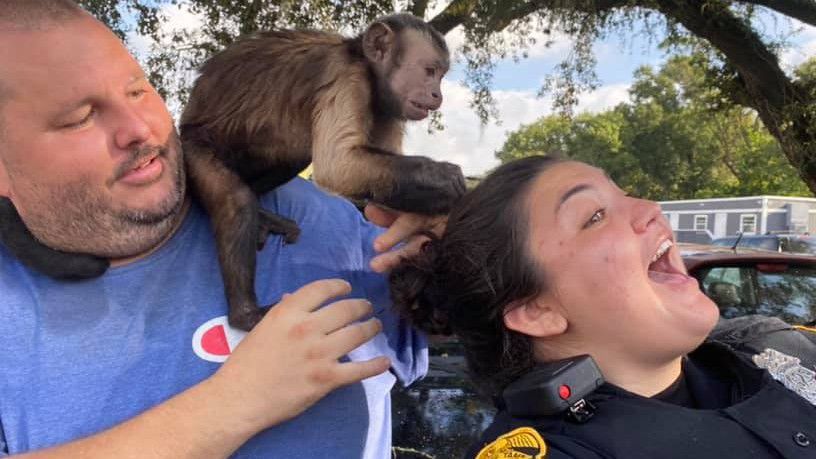Baby Monkey Leads Tampa Police On A Wild Chase