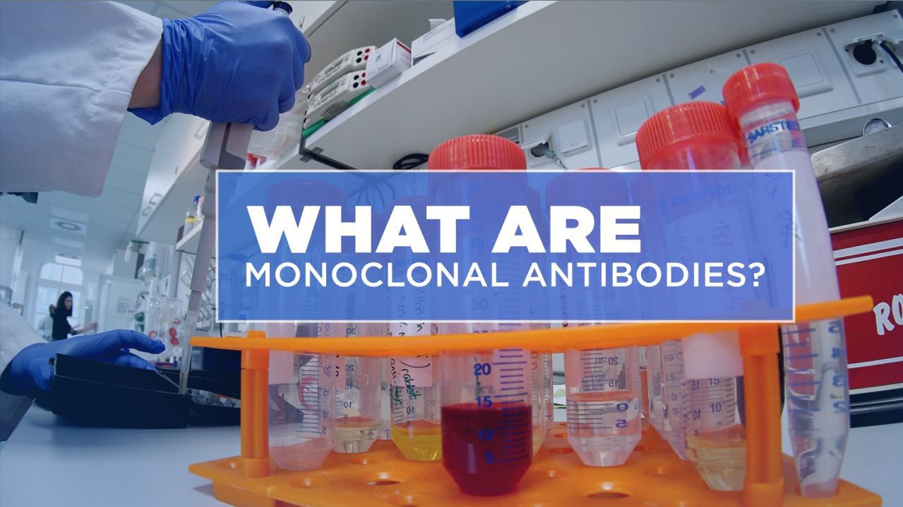 Monoclonal Antibodies