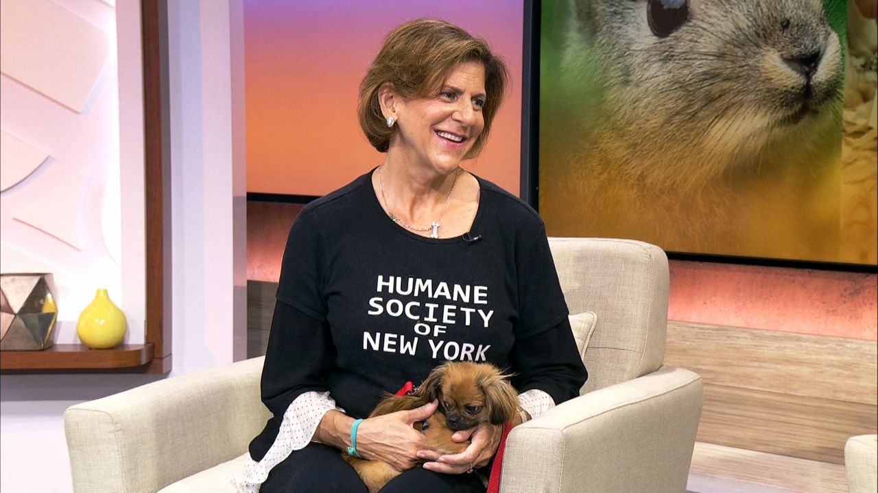 Animal Protections Boosted By New State Law