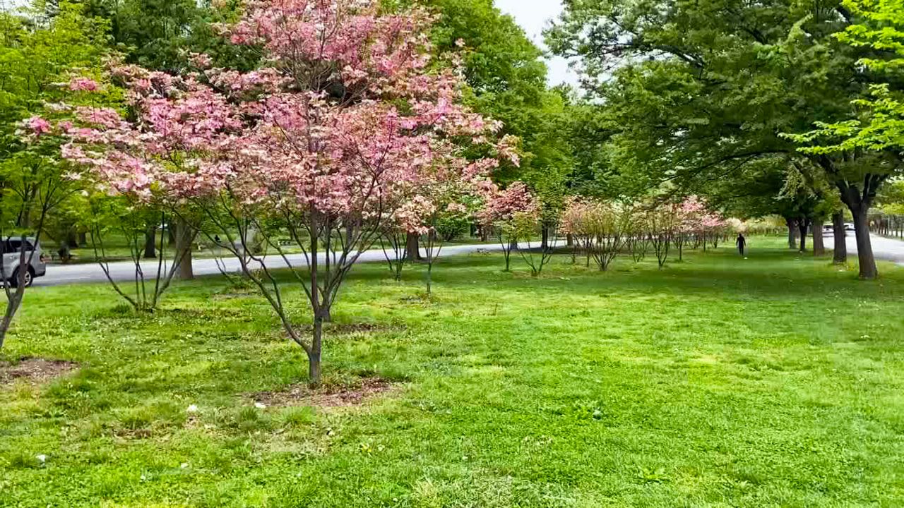 Mosholu Parkway A backyard for Bronx neighborhoods
