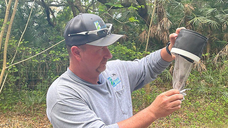 Brevard battling mosquitos with early rainy season
