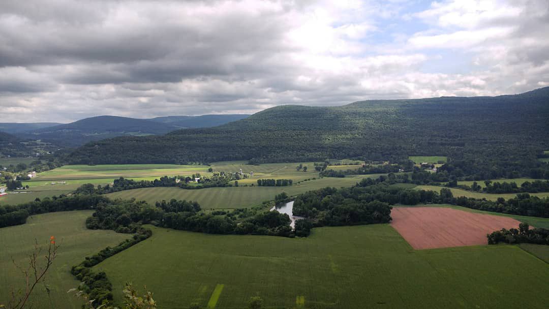 Your Capital Region Forecast