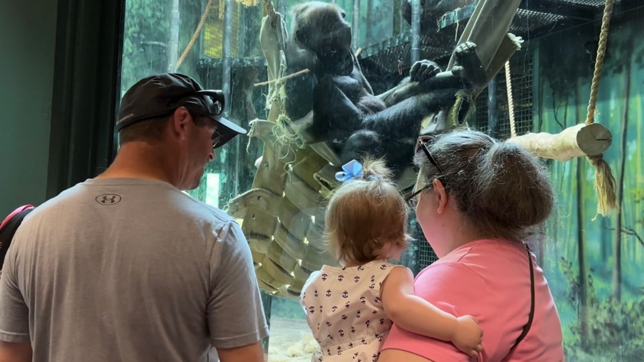 Louisville Zoo offers free admission for active and retired military on Veterans Day