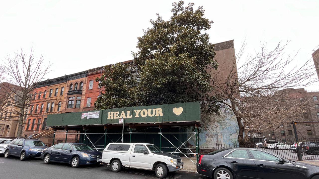 Green scaffolding covers part of two magnolia trees growing in front of brownstone buildings in Brooklyn.