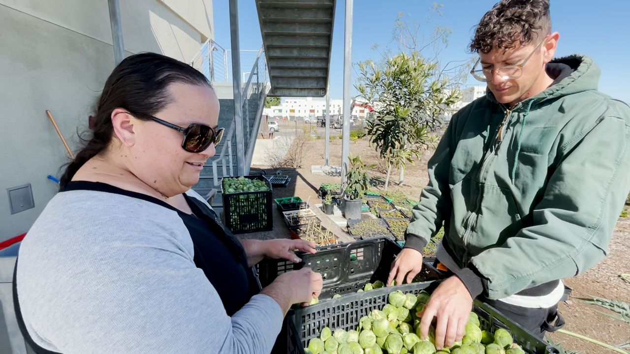 New PBS docuseries highlights Urban Garden in Watts